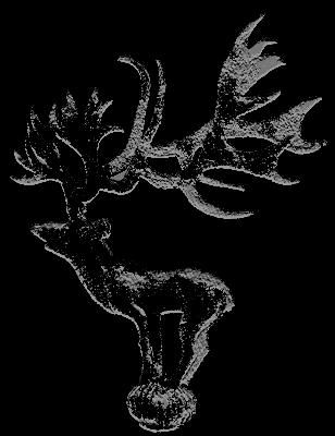 stag_neg.jpg (19697 bytes)